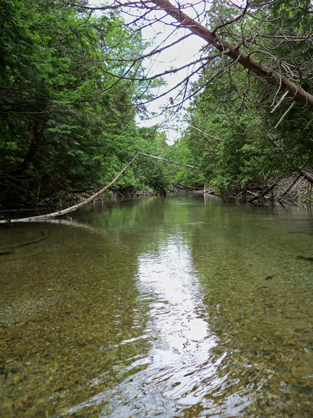 crystal river kayaking