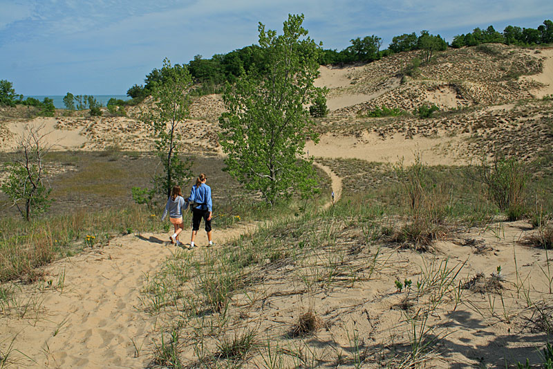 trial junction on the north trails at warren dunes state park